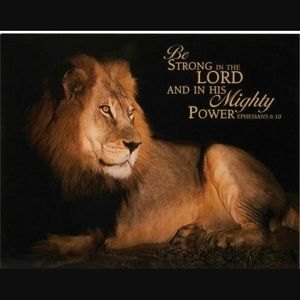 Meet your Posher, Ivette